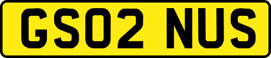 GS02NUS