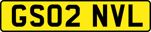 GS02NVL