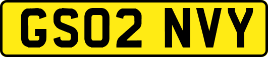 GS02NVY