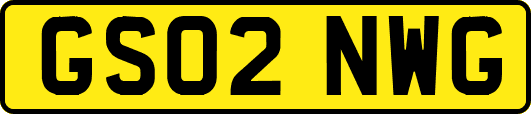 GS02NWG