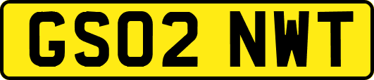 GS02NWT