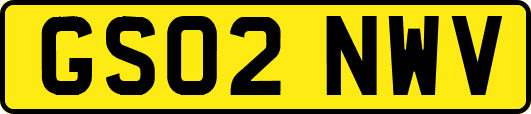 GS02NWV