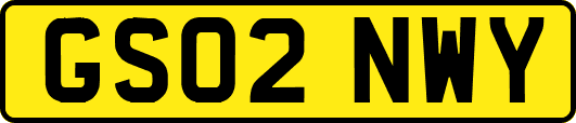 GS02NWY