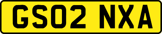 GS02NXA