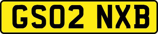GS02NXB