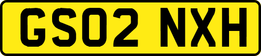 GS02NXH