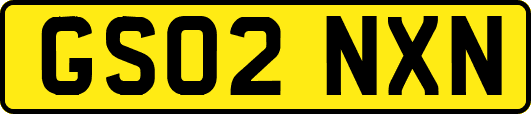 GS02NXN