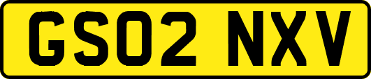 GS02NXV