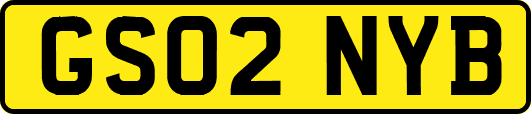GS02NYB
