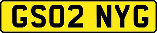 GS02NYG