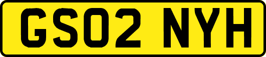GS02NYH