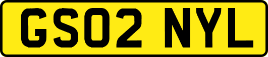 GS02NYL