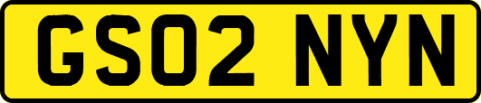 GS02NYN