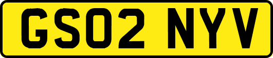 GS02NYV