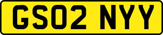 GS02NYY