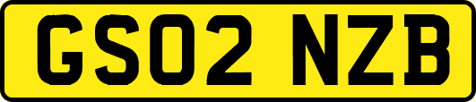 GS02NZB