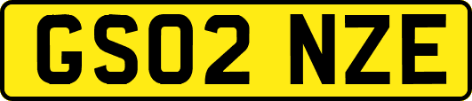 GS02NZE