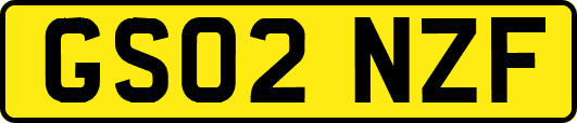 GS02NZF