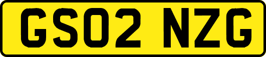 GS02NZG