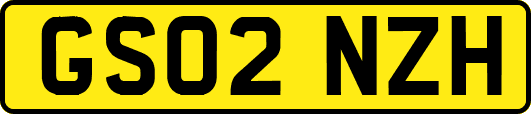 GS02NZH