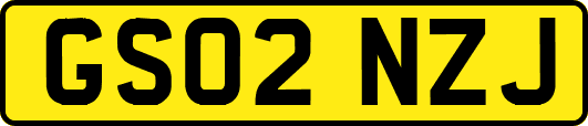 GS02NZJ