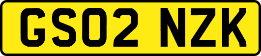 GS02NZK