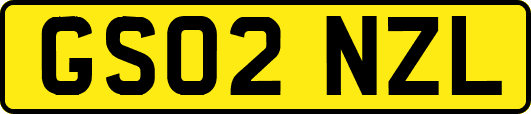 GS02NZL