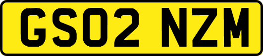 GS02NZM