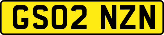 GS02NZN