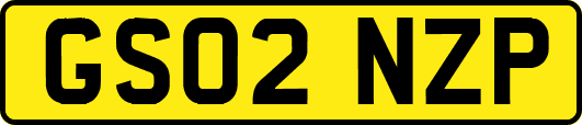 GS02NZP