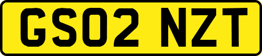 GS02NZT