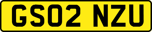 GS02NZU