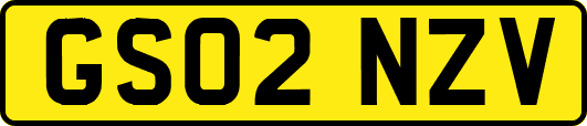 GS02NZV