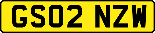 GS02NZW
