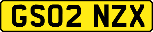 GS02NZX