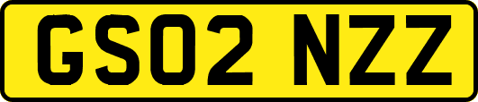 GS02NZZ