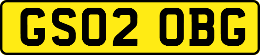 GS02OBG