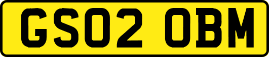 GS02OBM