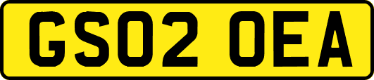 GS02OEA