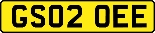 GS02OEE