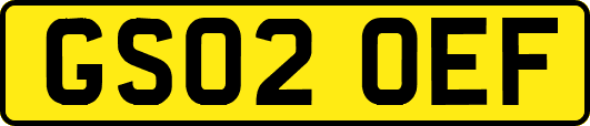 GS02OEF
