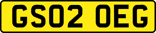 GS02OEG