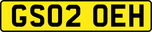 GS02OEH