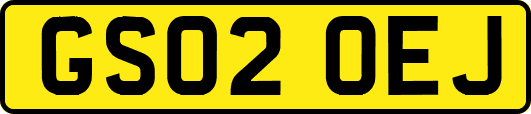 GS02OEJ
