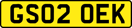 GS02OEK