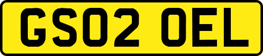 GS02OEL
