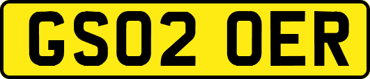 GS02OER