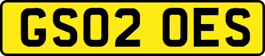 GS02OES