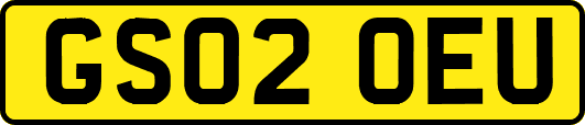 GS02OEU