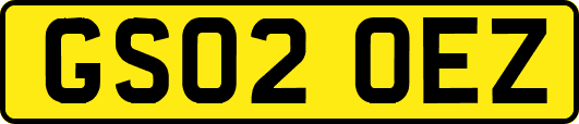 GS02OEZ